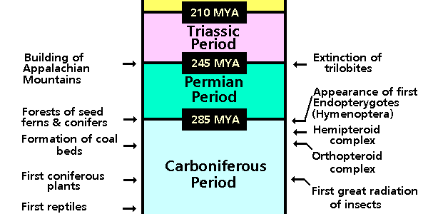 Timeline of entomology since 1900 - Wikiwand